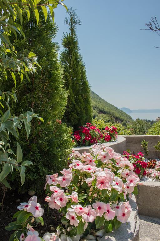 Villa Stefanoski Konjsko Eksteriør bilde